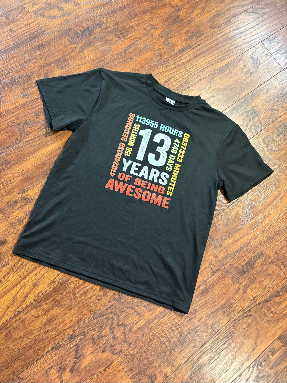 Teevista boy’s size L 13th Birthday t shirt